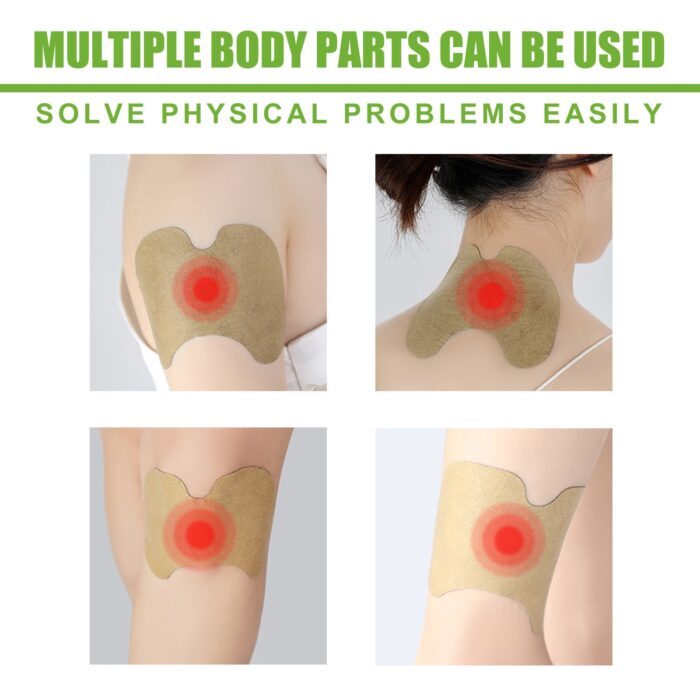 Eelhoe Pain Relief Patches